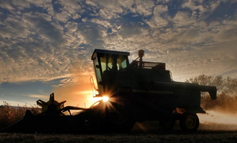 Colheitadeira trabalhando em lavoura de soja ao entardecer